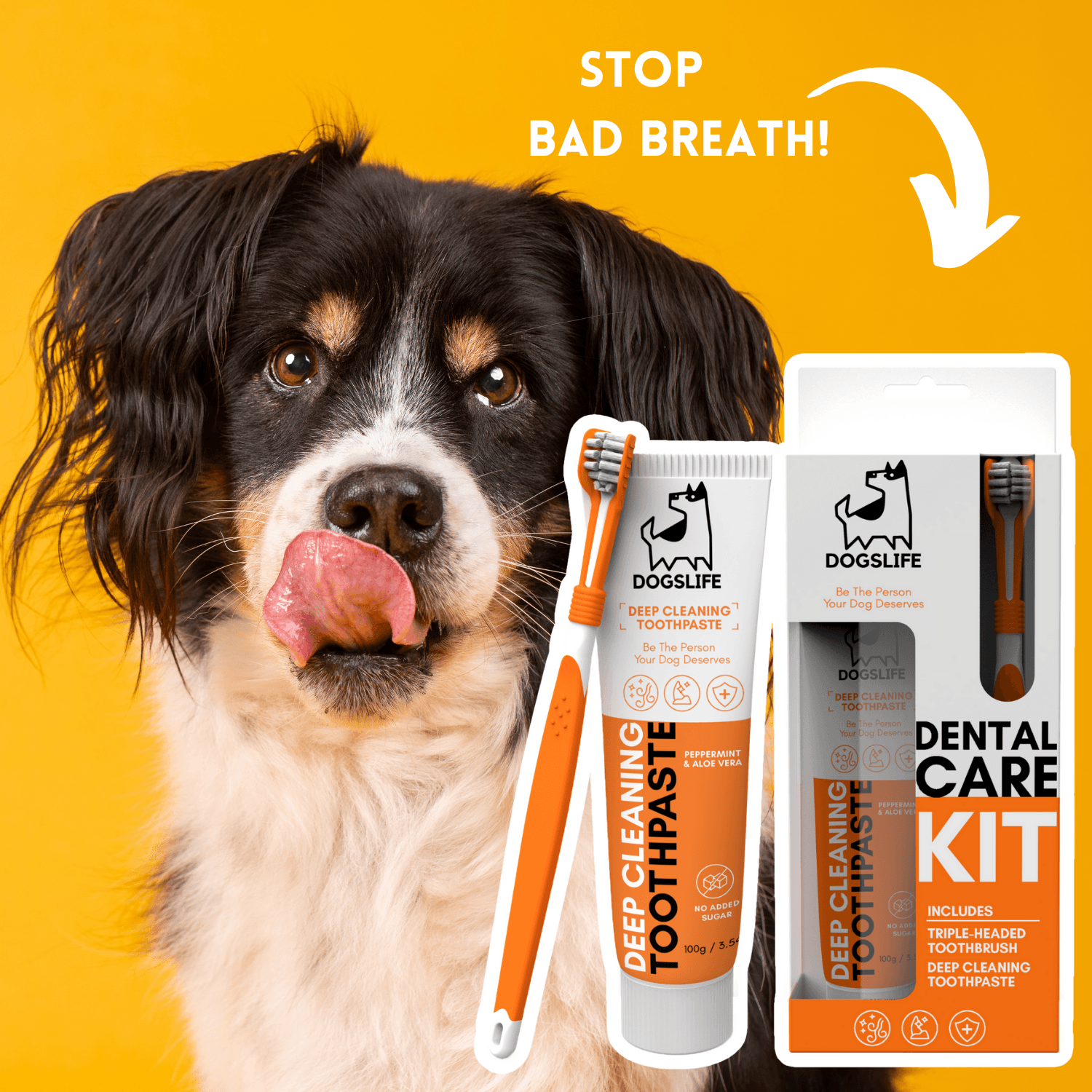 DOGSLIFE INF PET 3: Lifestyle Secondary Images