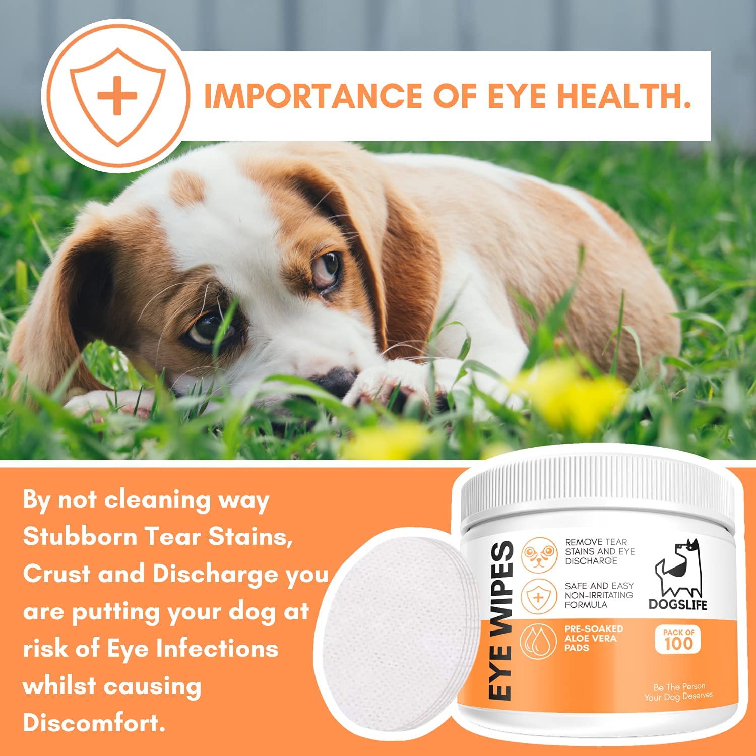 DOGSLIFE INF PET 8: Lifestyle Secondary Images