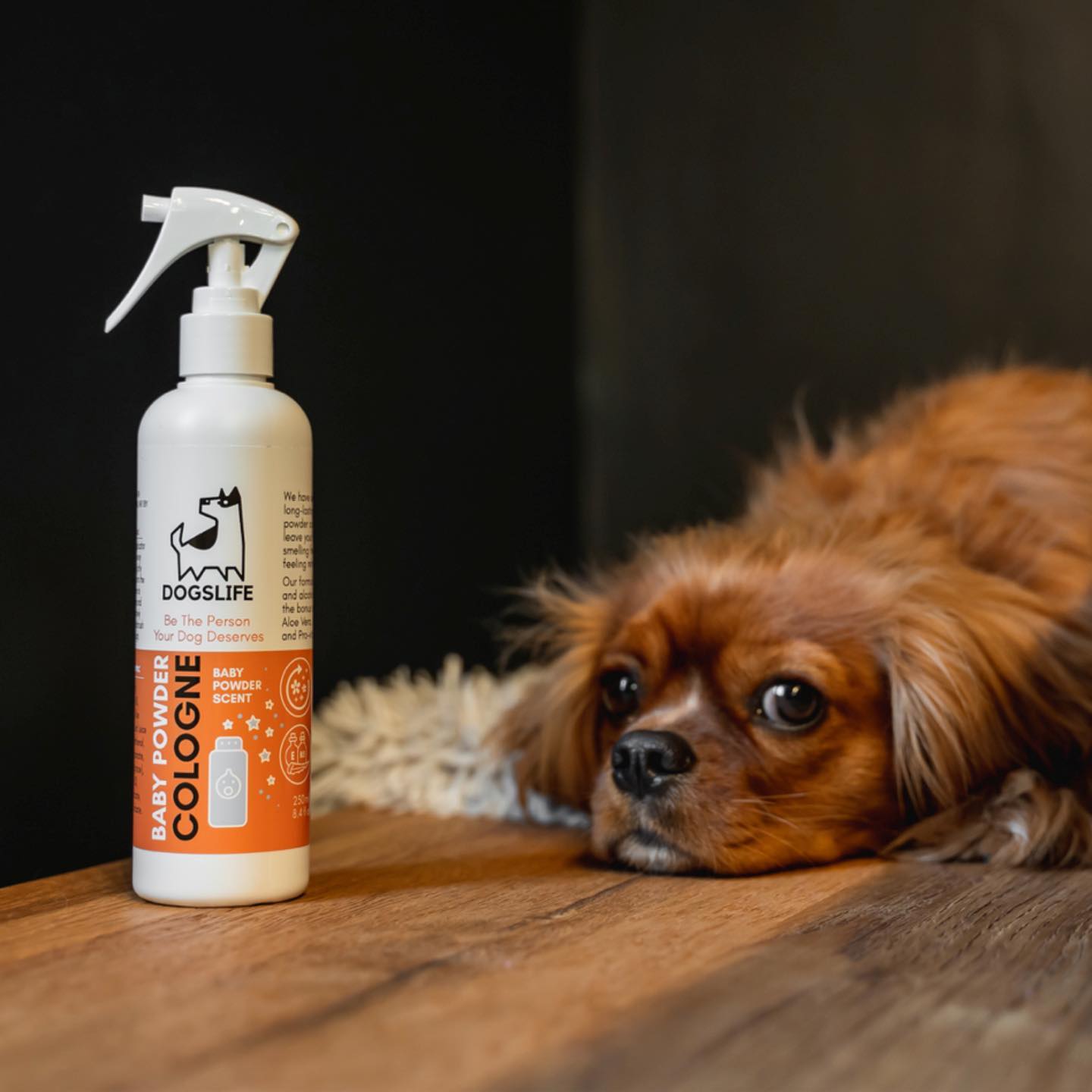 DOGSLIFE LIF PET 4: Lifestyle Secondary Images