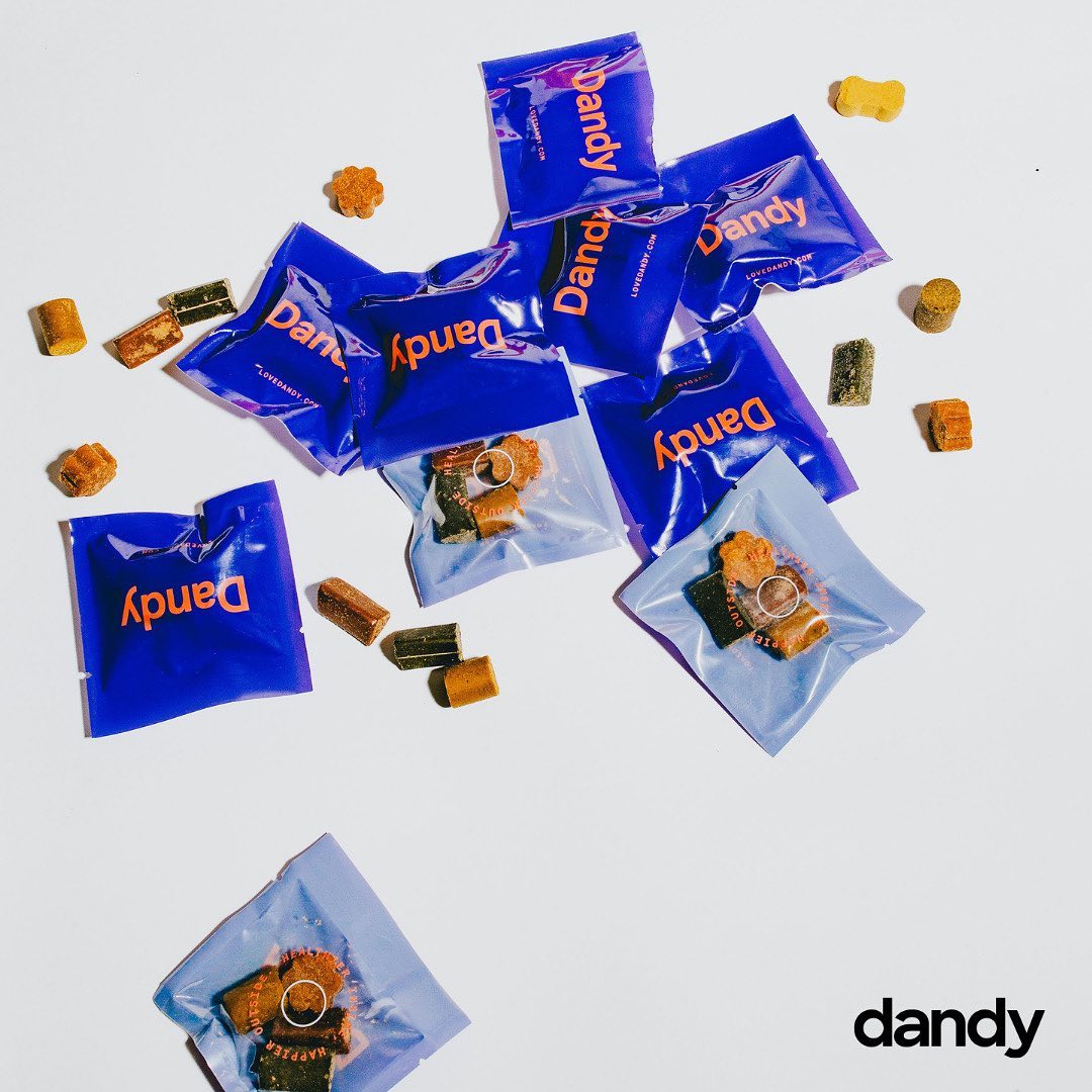 Dandy 15: Lifestyle Secondary Images