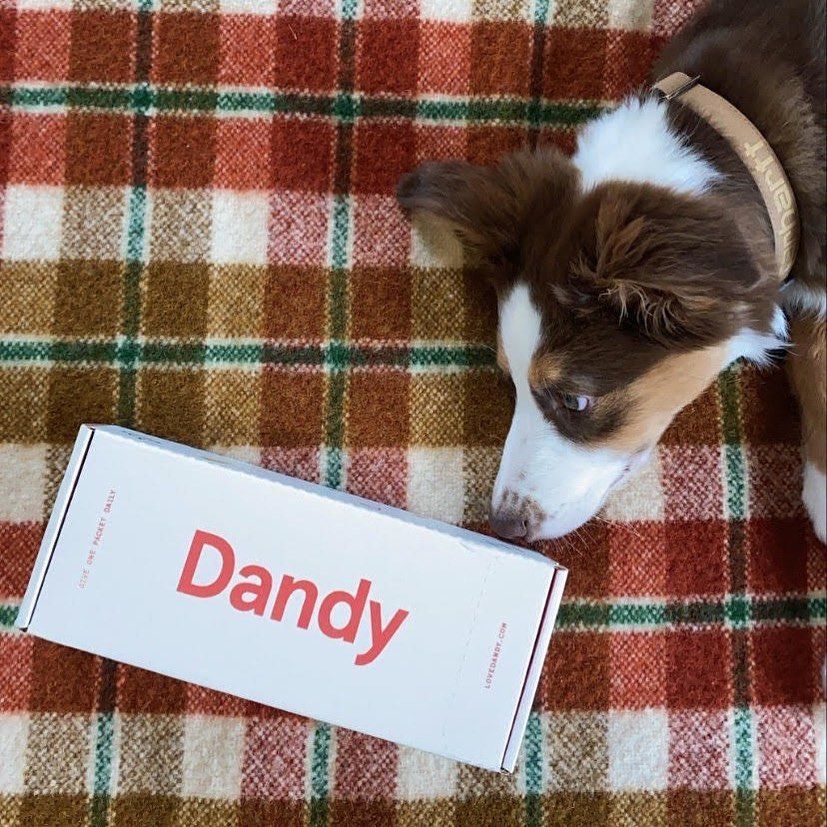 Dandy 17: Packaging