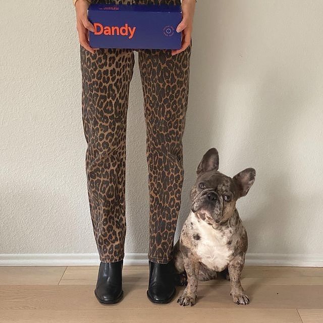 Dandy 18: Packaging