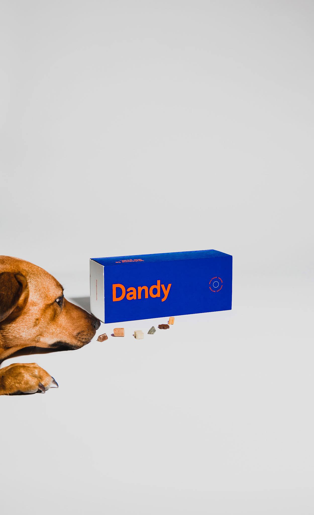 Dandy 1: Packaging