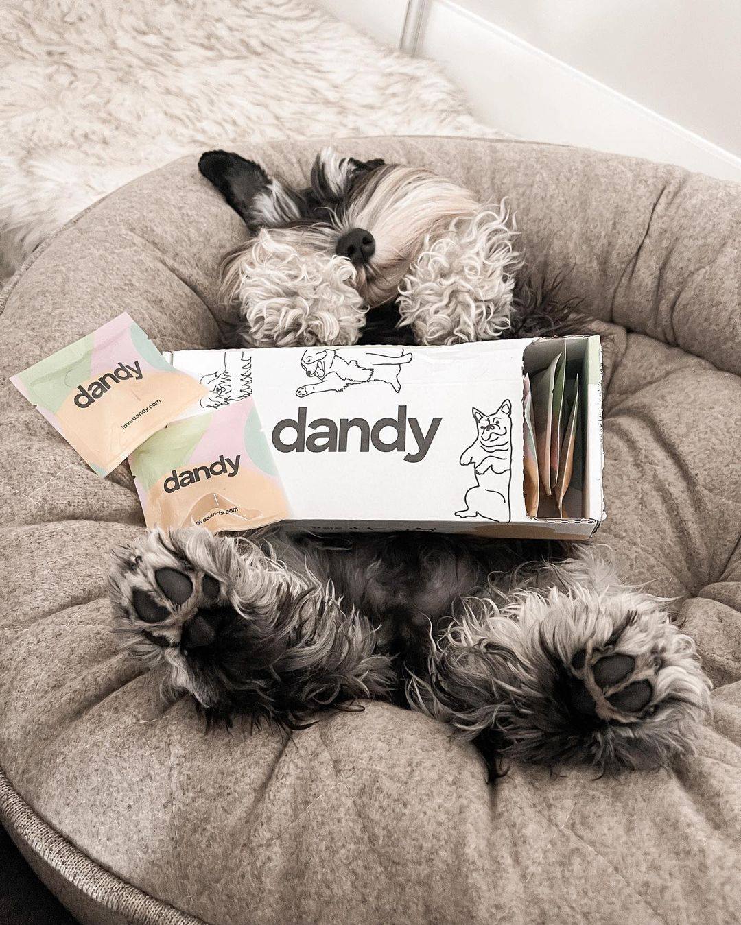 Dandy 3: Packaging