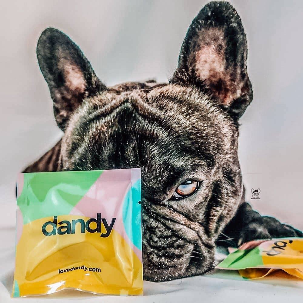 Dandy 4: Lifestyle Secondary Images