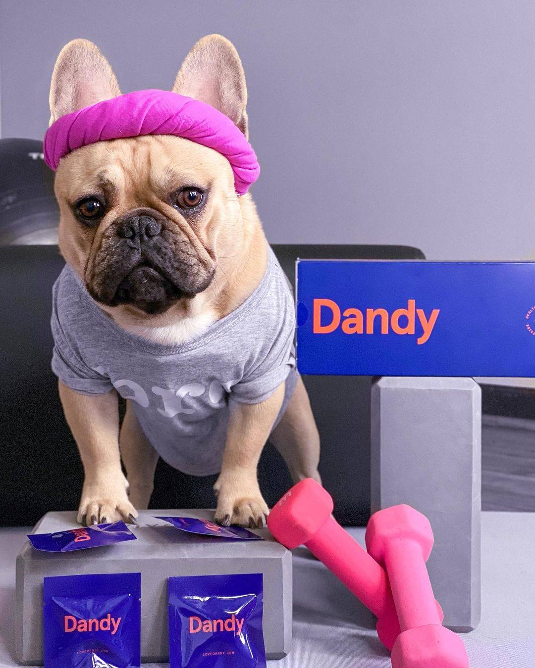 Dandy 9: Packaging