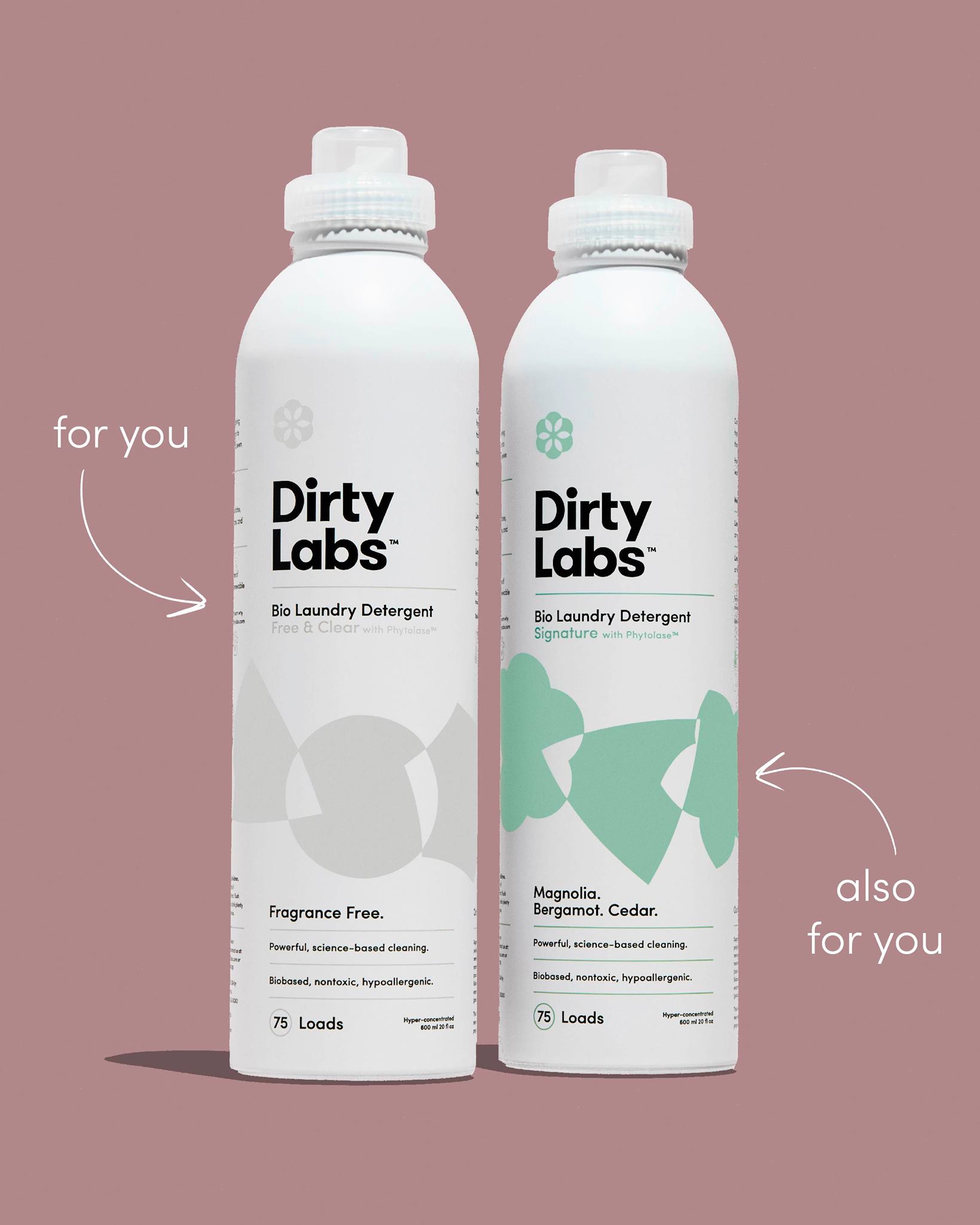 Dirty Labs 5: Infographics