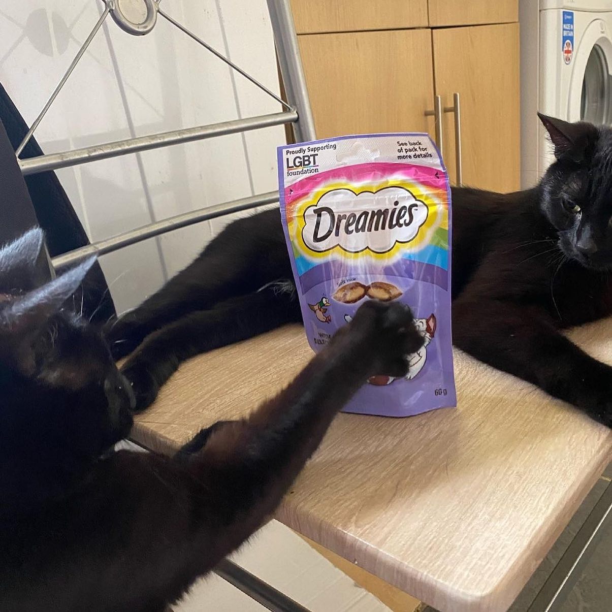 Dreamies 11: UGC Secondary Images
