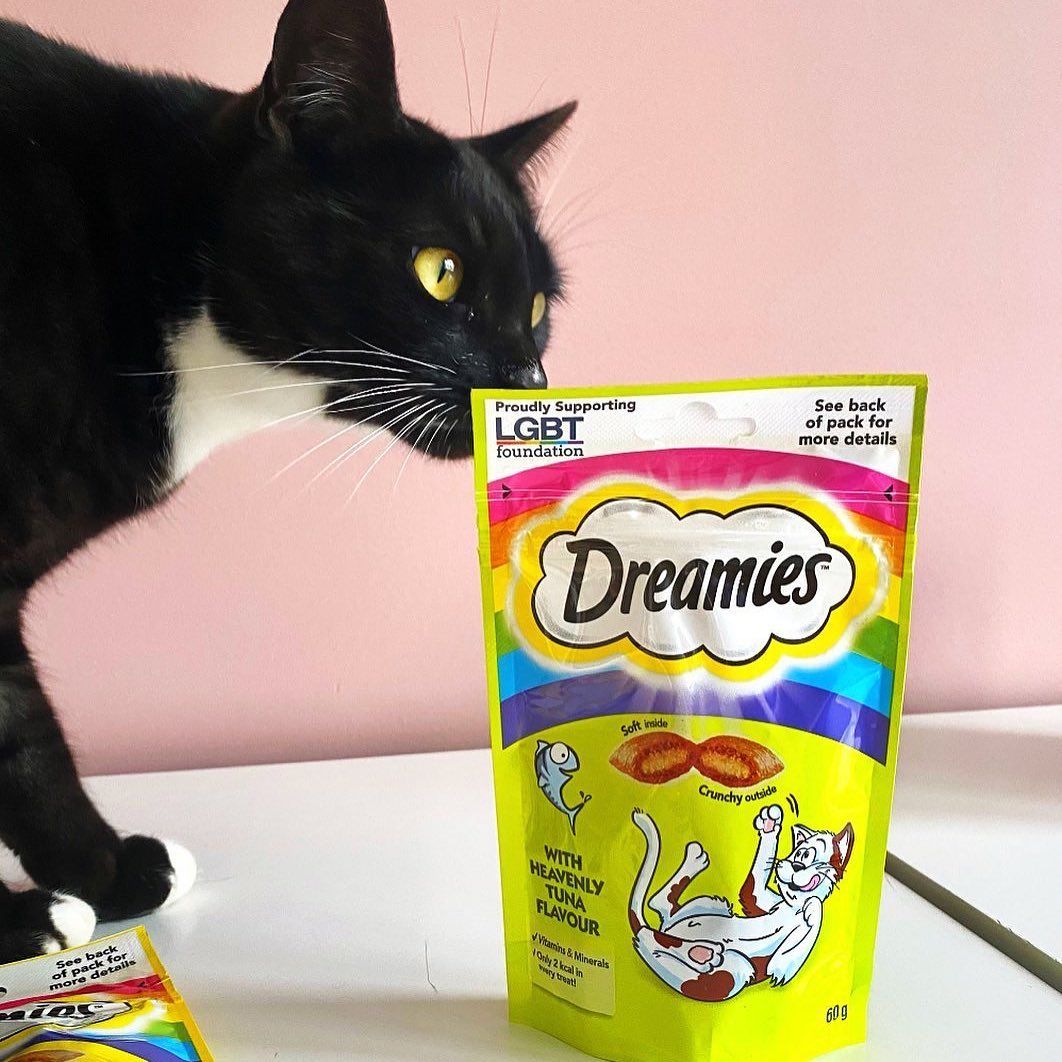 Dreamies 12: UGC Secondary Images