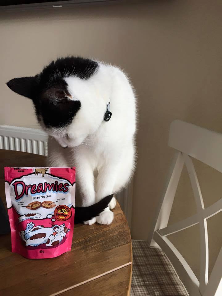 Dreamies 18: UGC Secondary Images