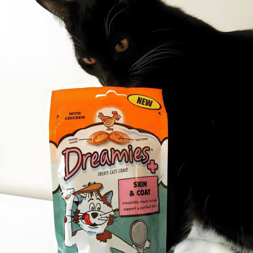 Dreamies 19: UGC Secondary Images
