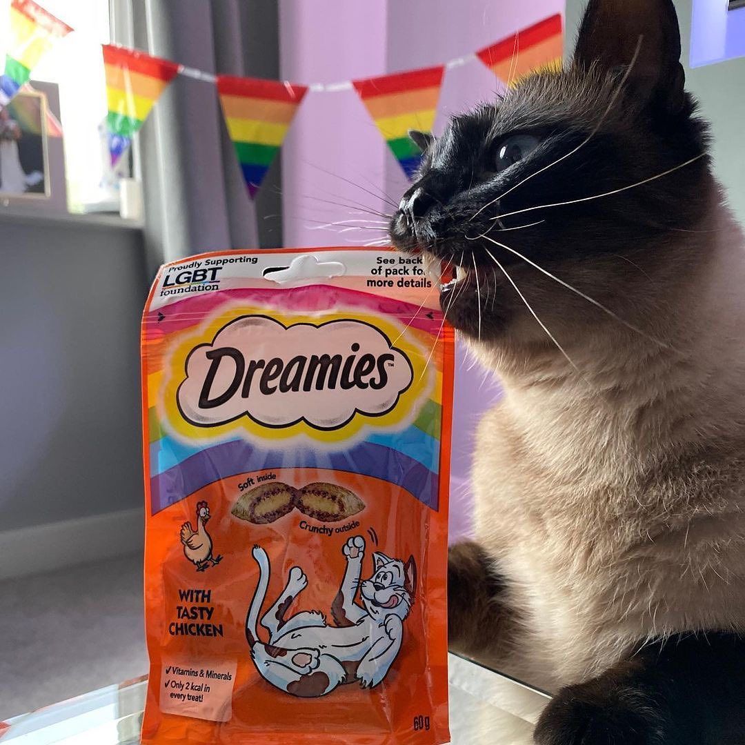 Dreamies 9: UGC Secondary Images