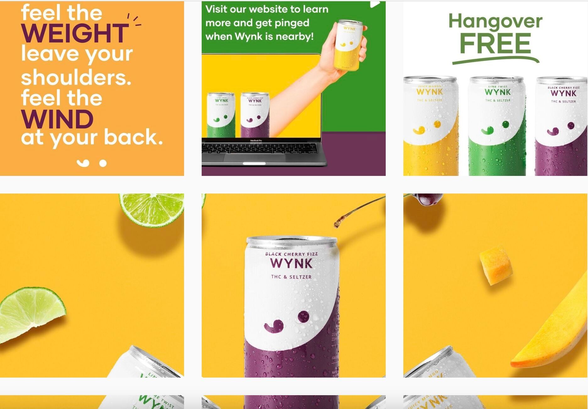 Drink Wynk: Infographics