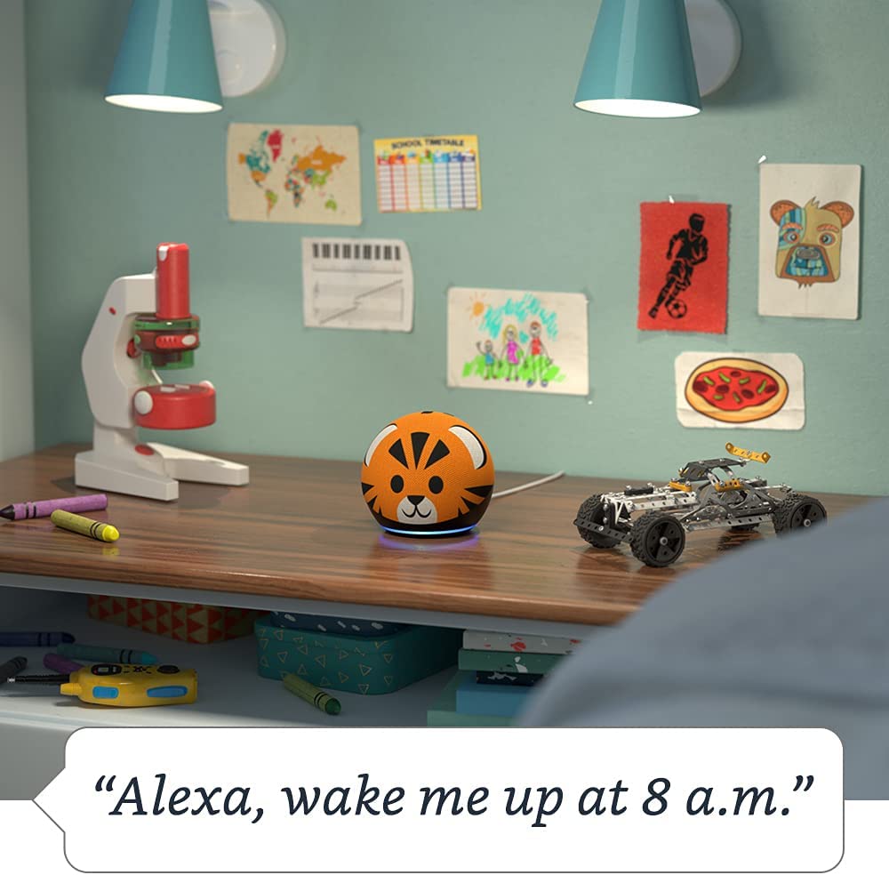 ECHO DOT INF TG 5: Infographics