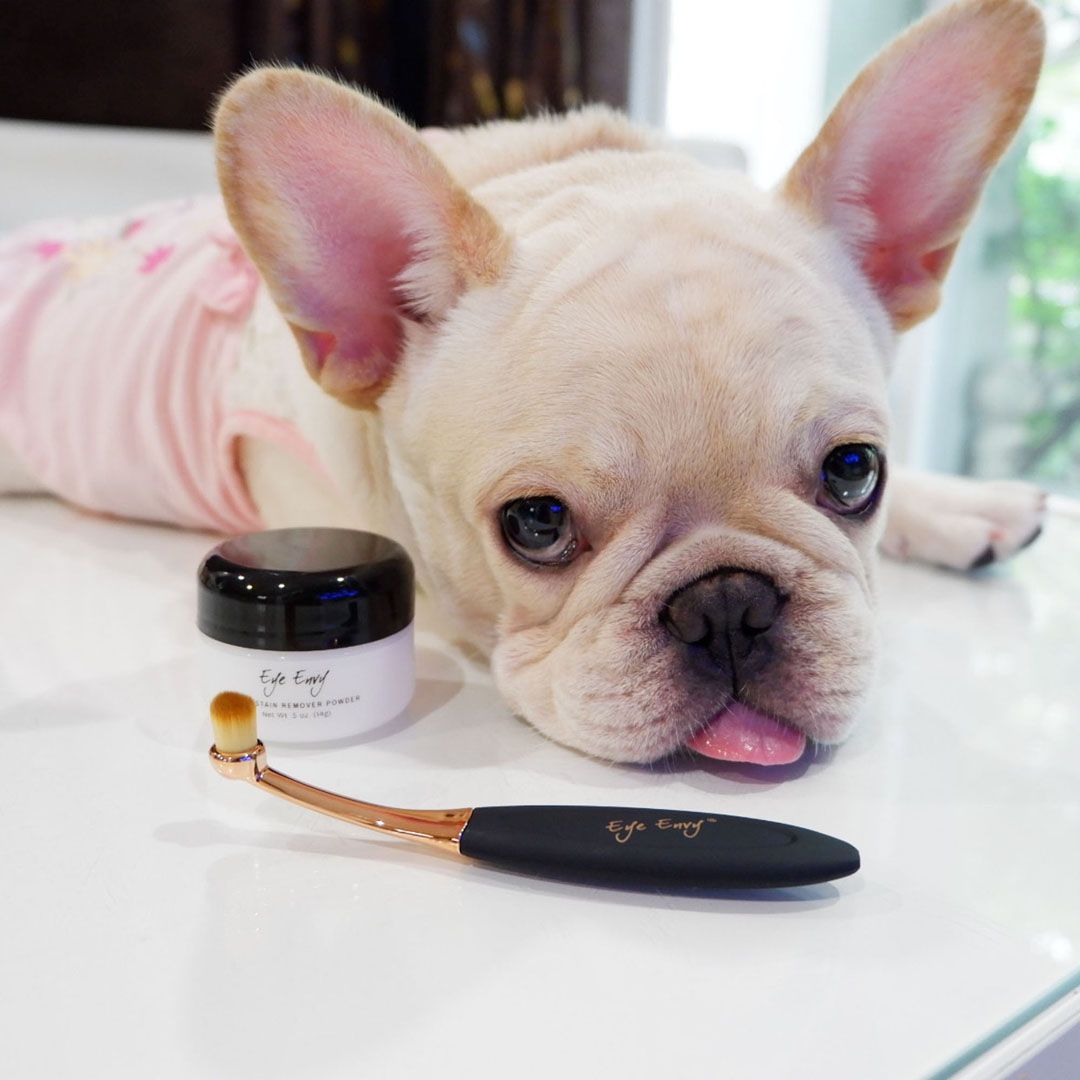 EYE ENVY LIF PET 1: Lifestyle Secondary Images