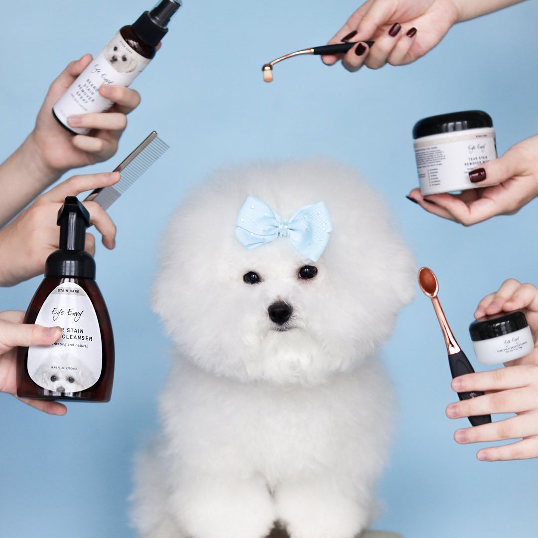 EYE ENVY LIF PET 3: Lifestyle Secondary Images