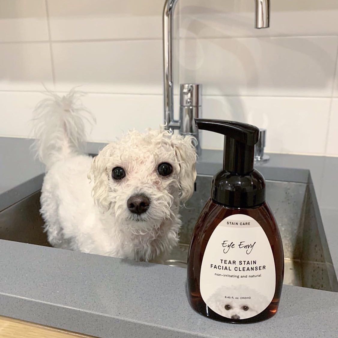 EYE ENVY LIF PET 5: Lifestyle Secondary Images