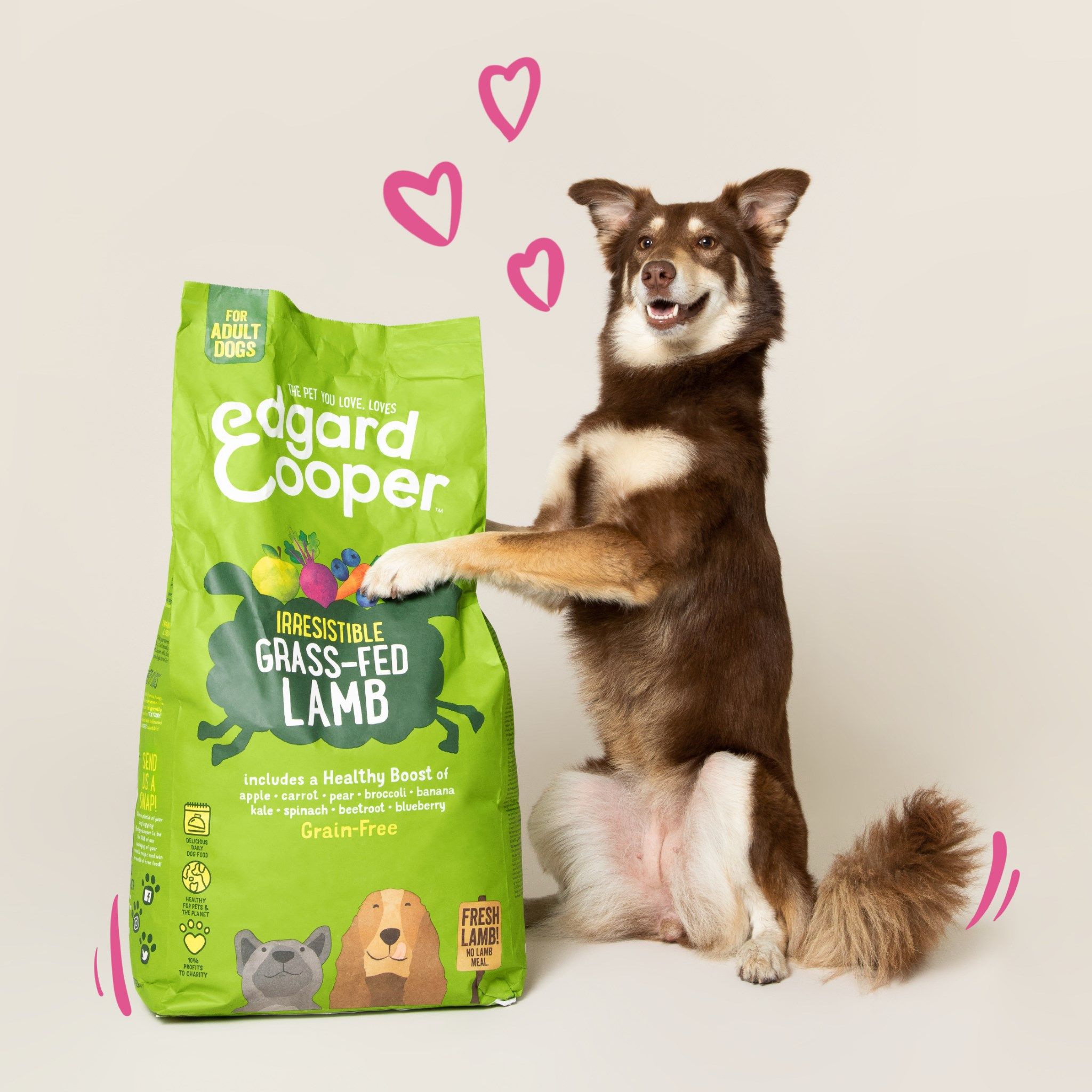 Edgard and Cooper 12: Lifestyle Secondary Images