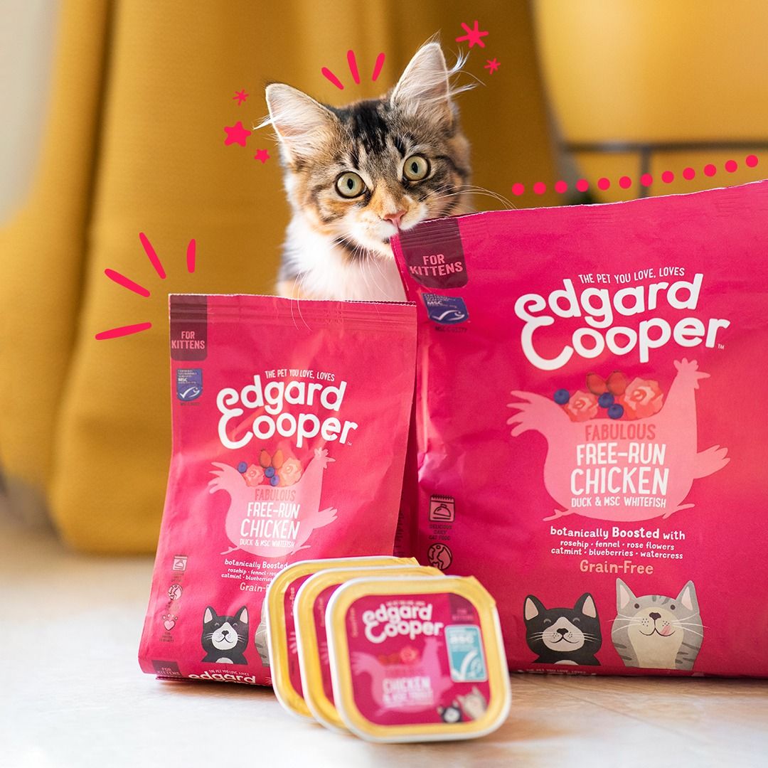 Edgard and Cooper 14: Lifestyle Secondary Images