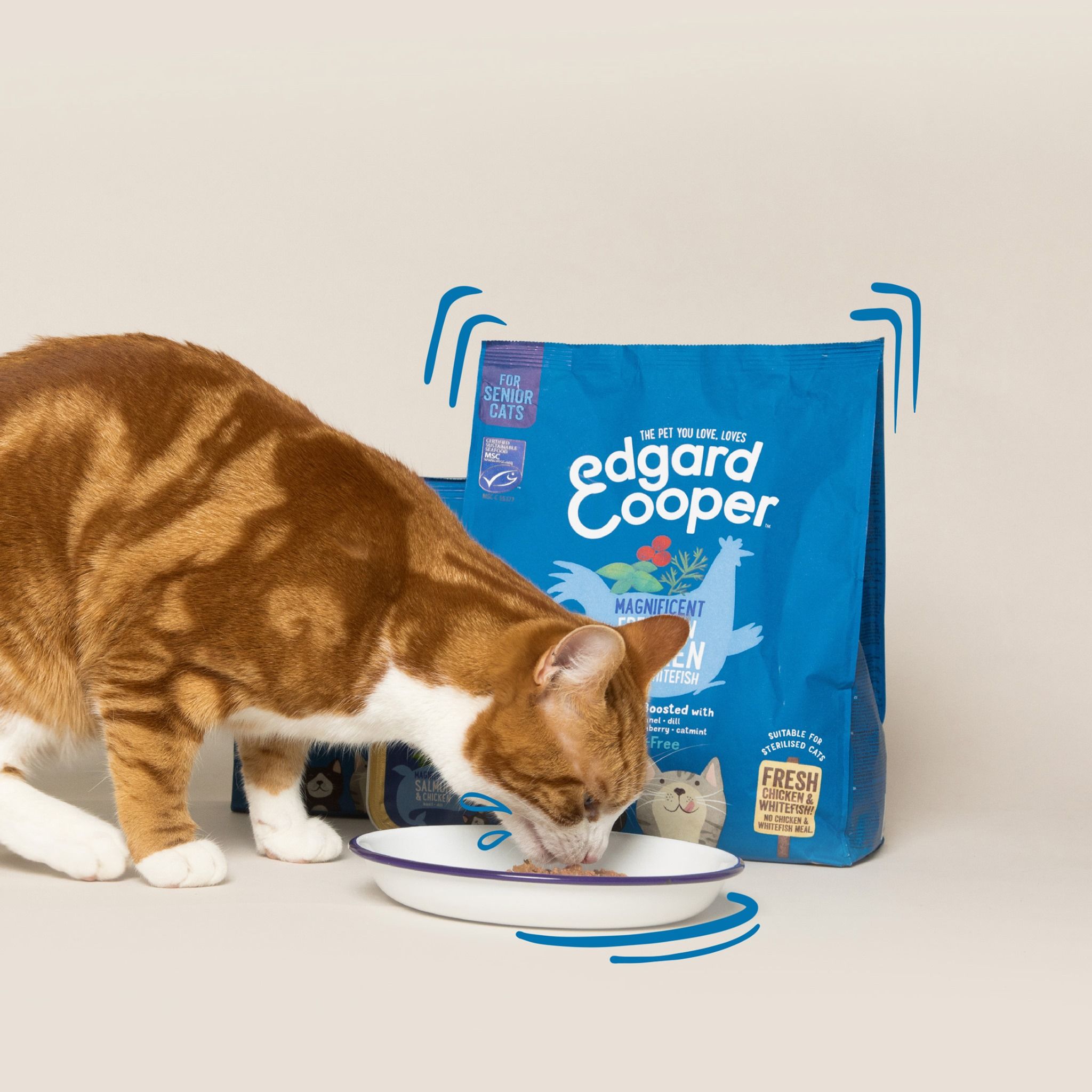 Edgard and Cooper 15: Lifestyle Secondary Images