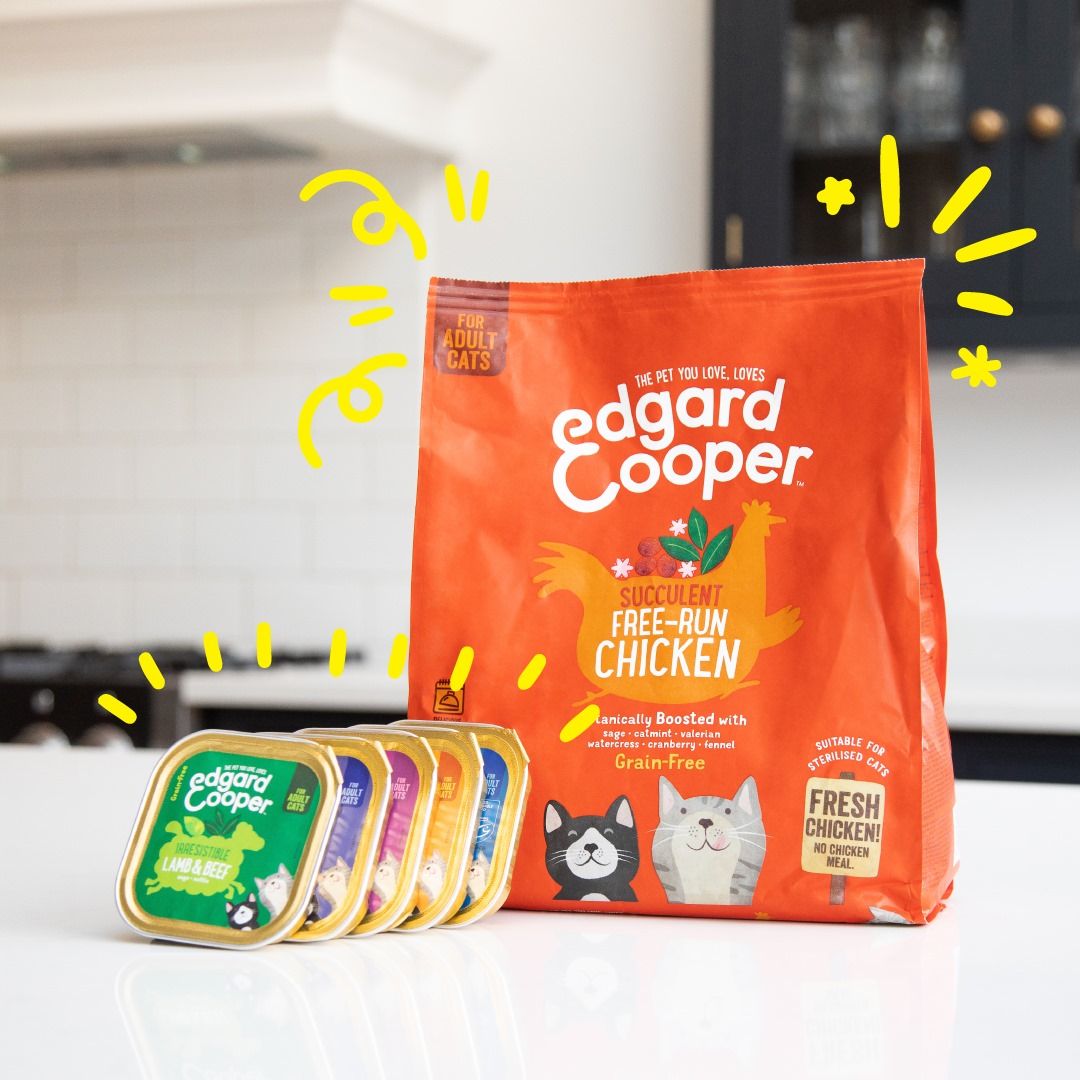 Edgard and Cooper 16: Lifestyle Secondary Images