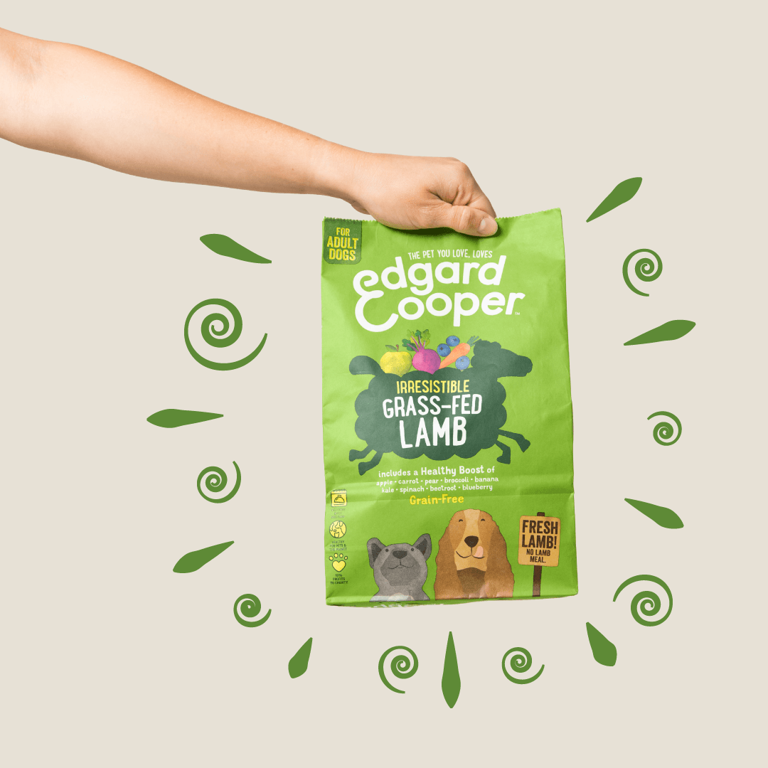 Edgard and Cooper 1: Lifestyle Secondary Images