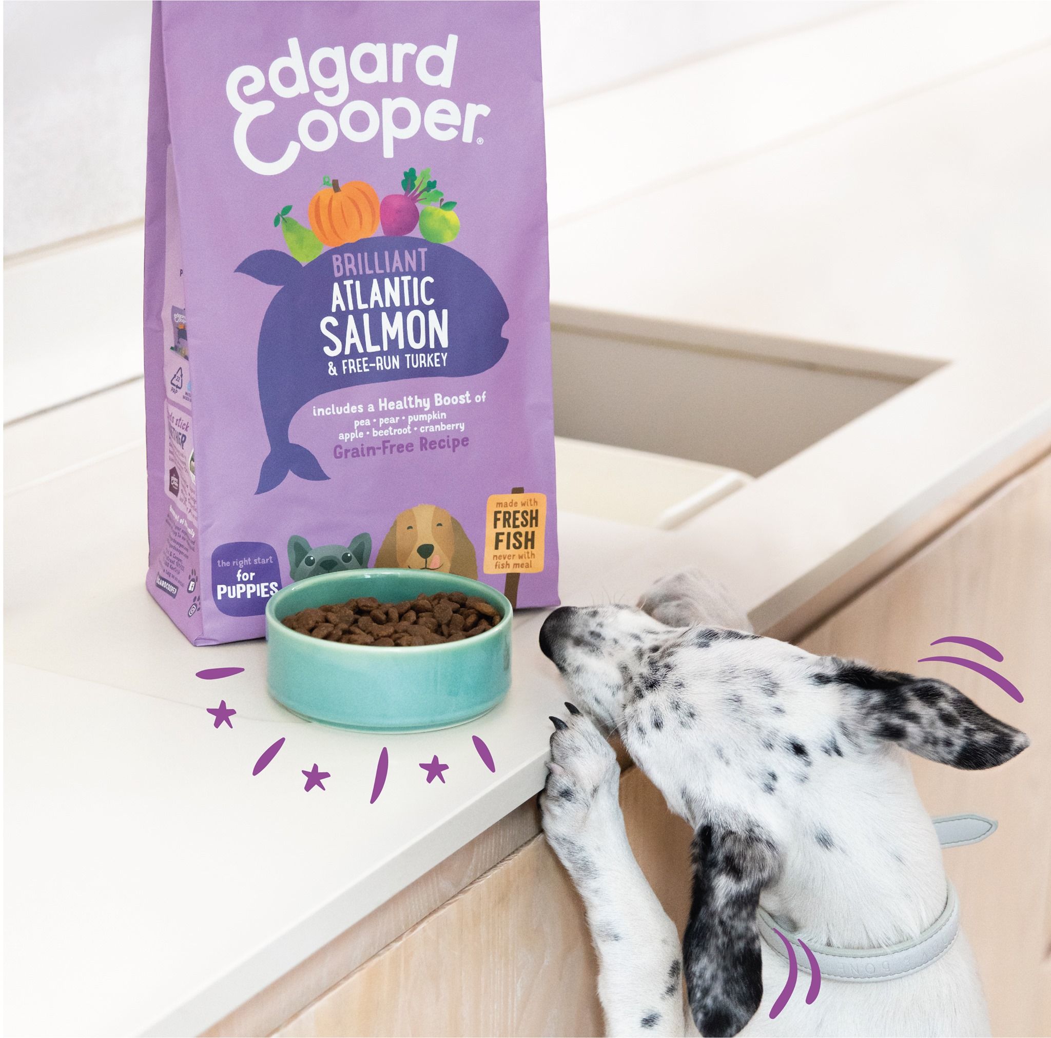 Edgard and Cooper 5: Lifestyle Secondary Images