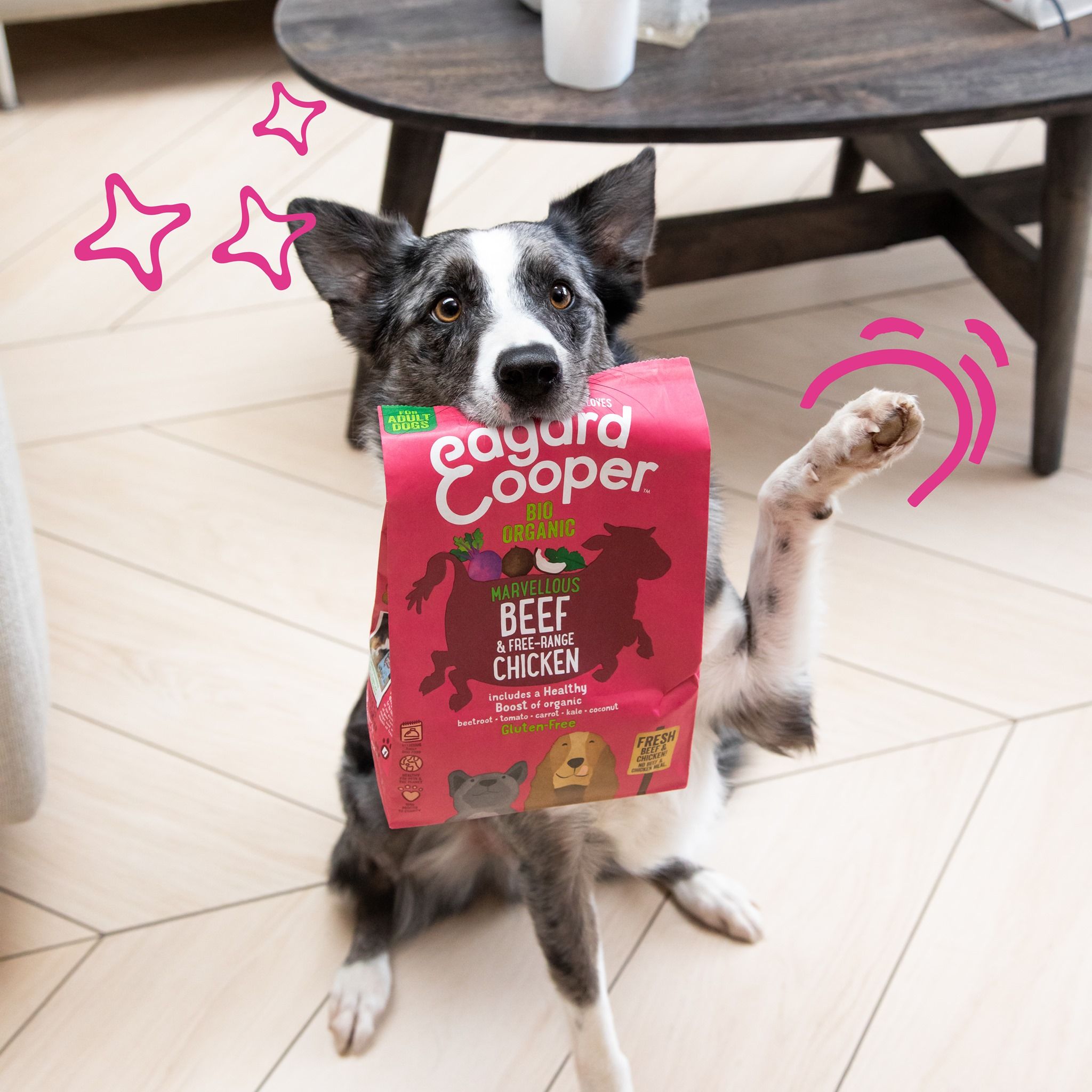 Edgard and Cooper 8: Lifestyle Secondary Images