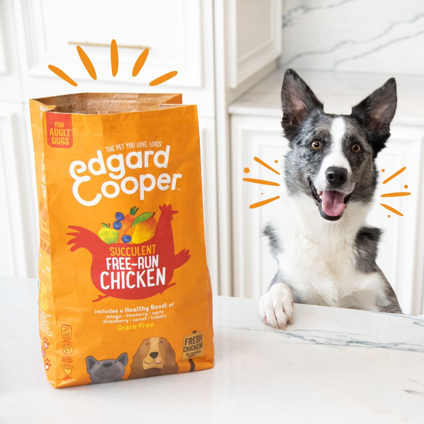 Edgard and Cooper 9: Lifestyle Secondary Images