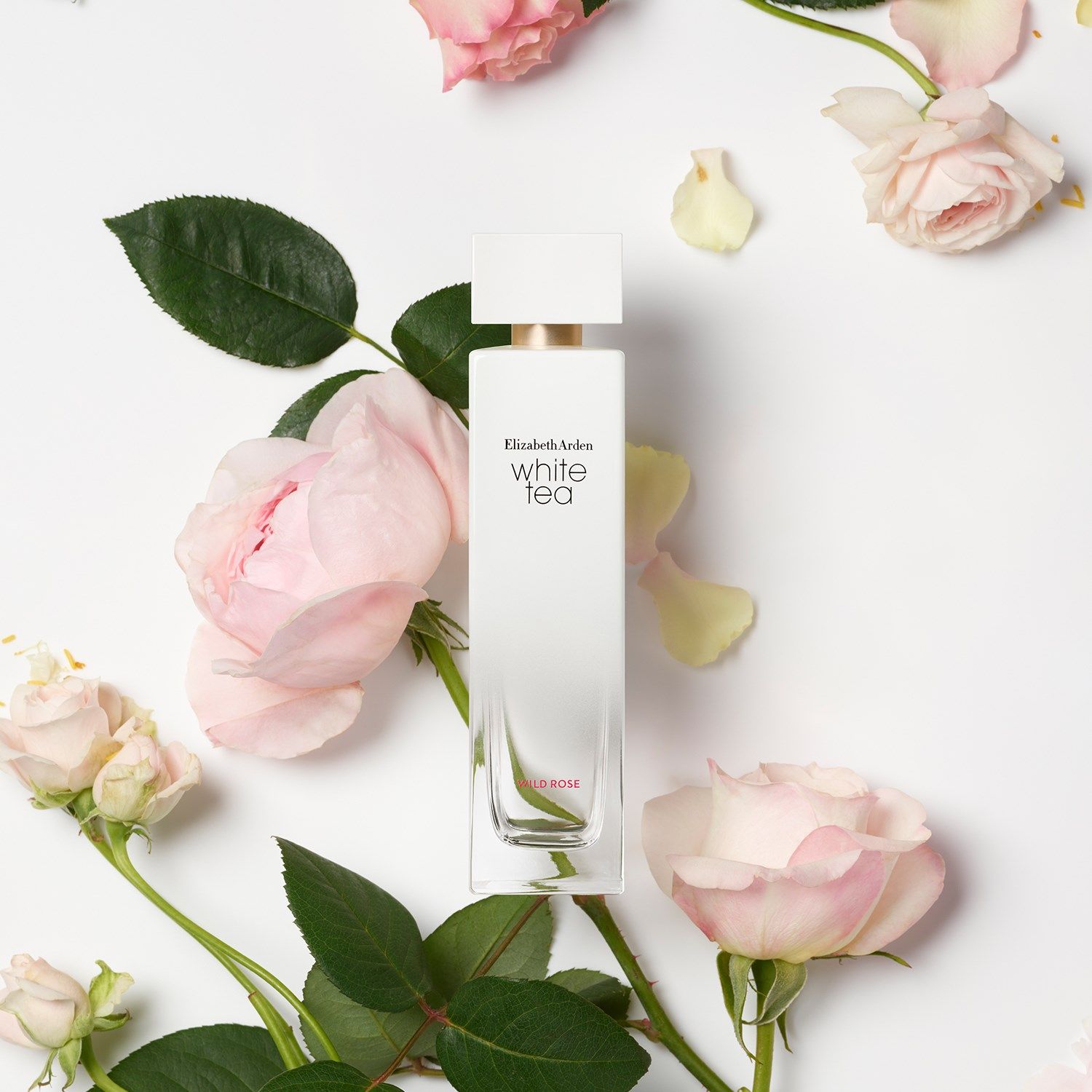 Elizabeth Arden 12: Lifestyle Secondary Images