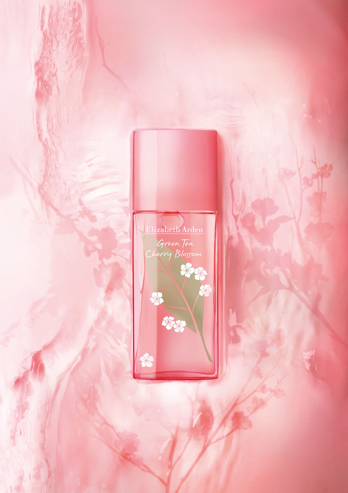 Elizabeth Arden 3: Backdrops