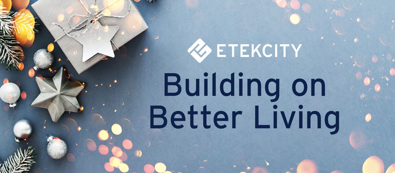 Etekcity 6: Storefront