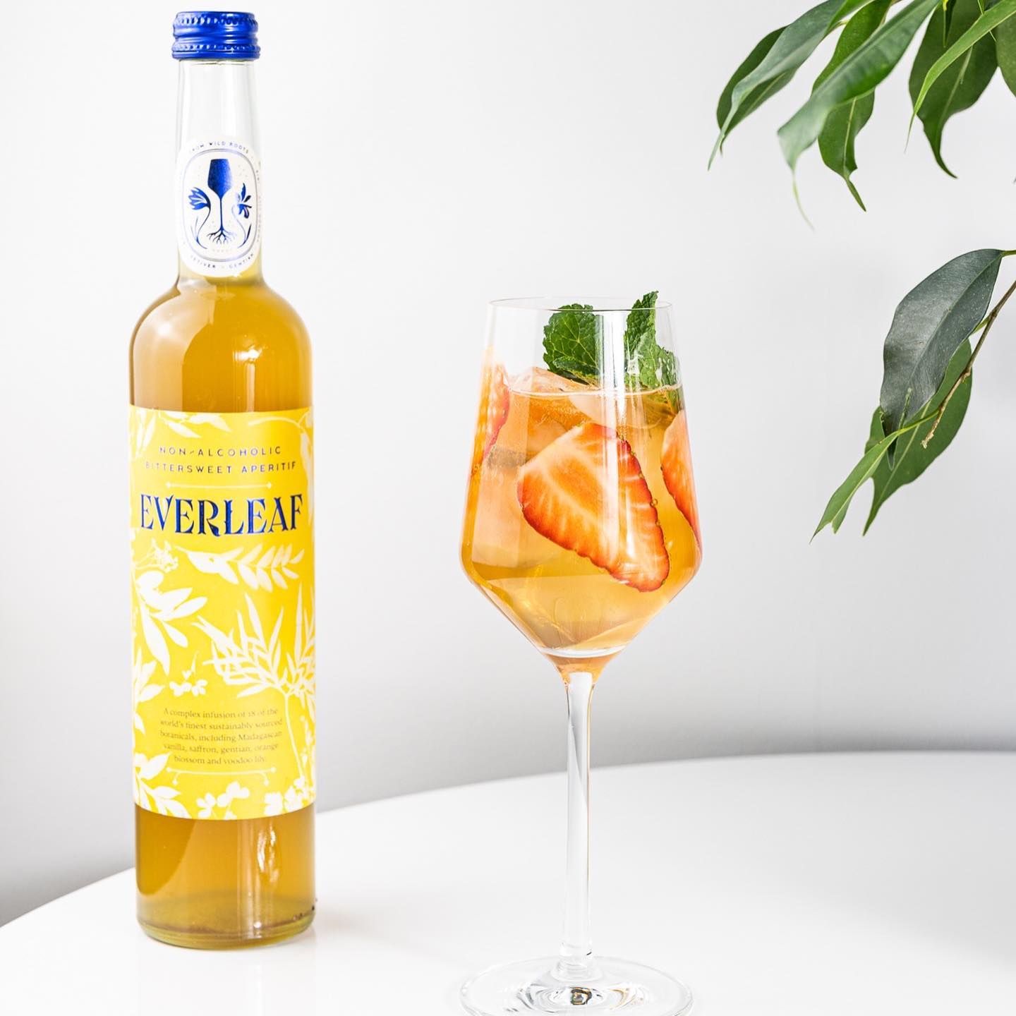 Everleaf 36: Lifestyle Secondary Images