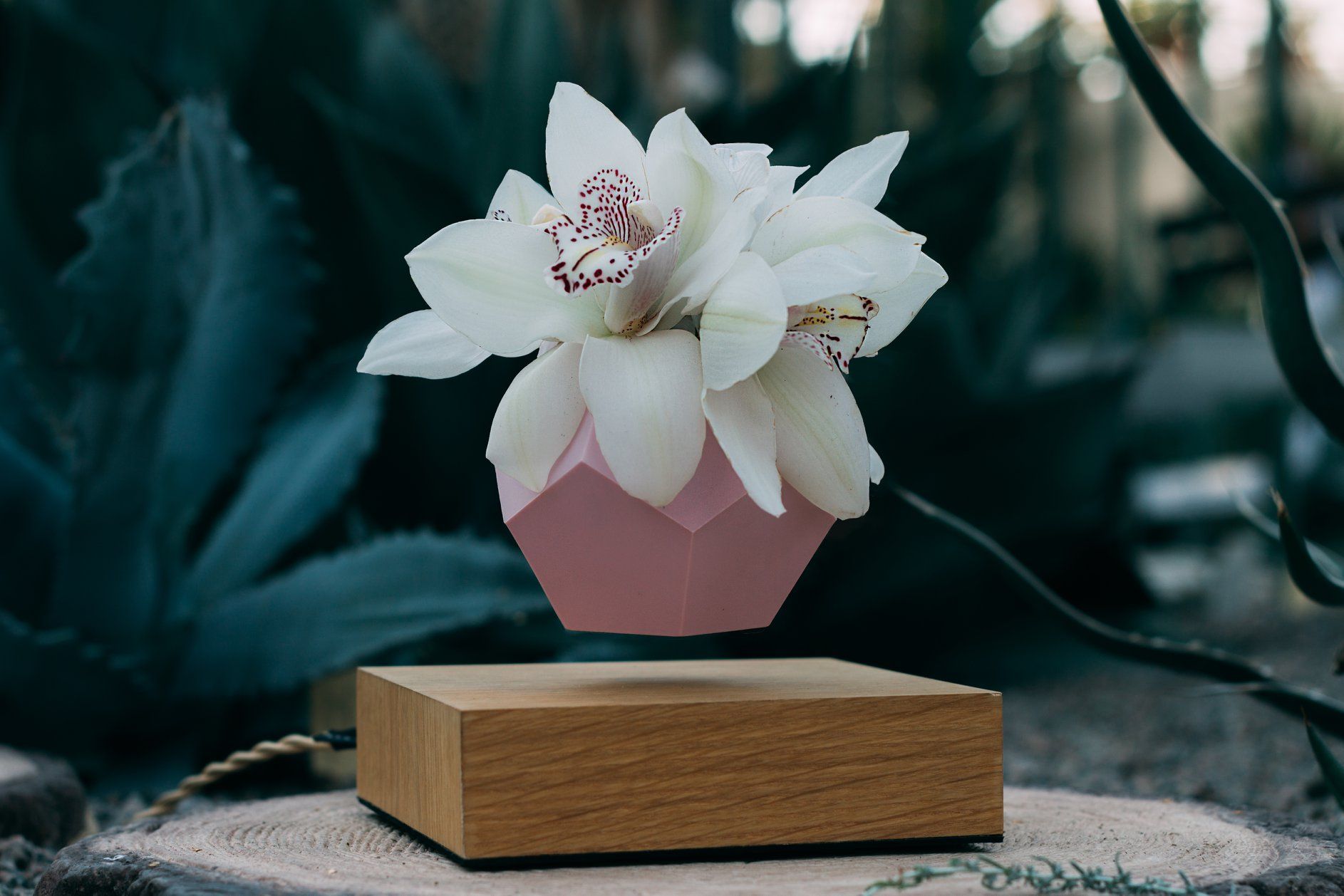 FLYTE 07: Lifestyle Secondary Images