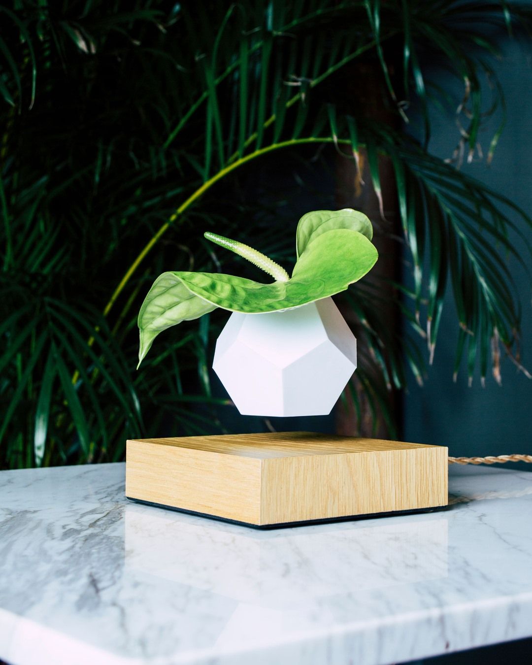 FLYTE 10: Lifestyle Secondary Images