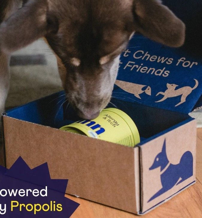 Packaging for Finn 10