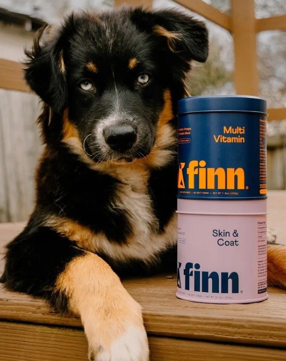 Finn 14: Lifestyle Secondary Images