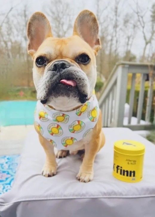 Finn 15: Lifestyle Secondary Images