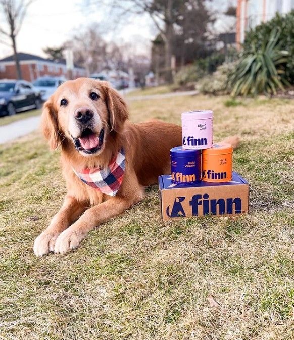 Finn 16: Lifestyle Secondary Images