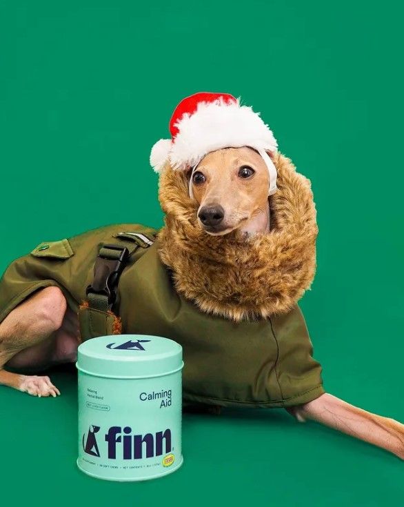 Finn 19: Backdrops