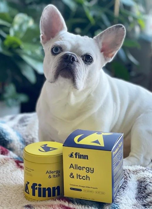 Finn 9: Packaging