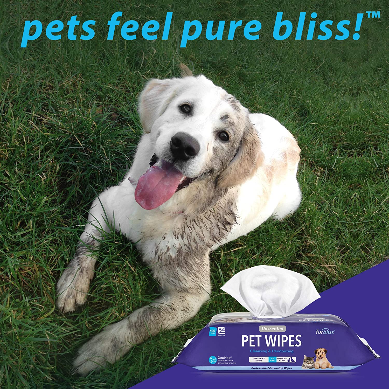 Furbliss INF PET 2: Infographics