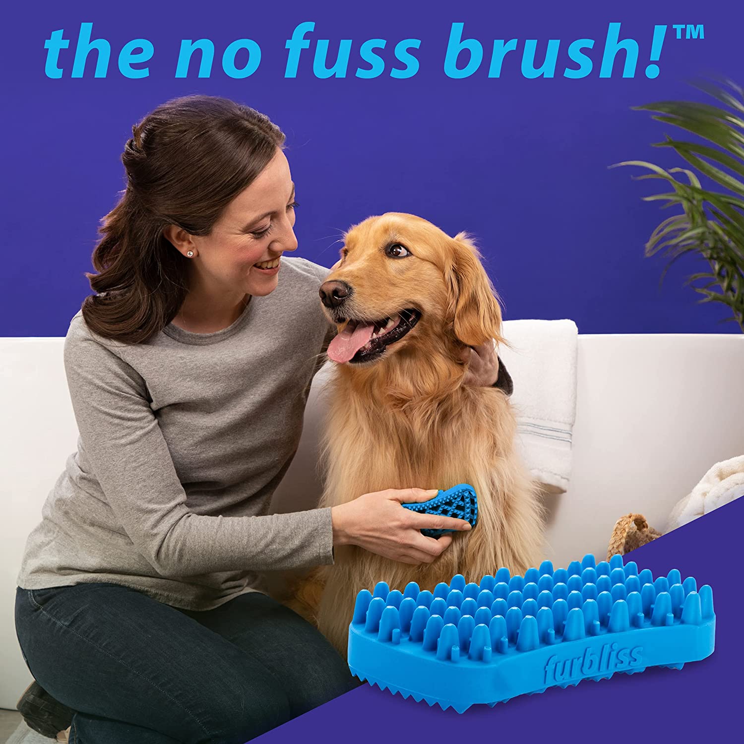 Furbliss INF PET 7: Infographics