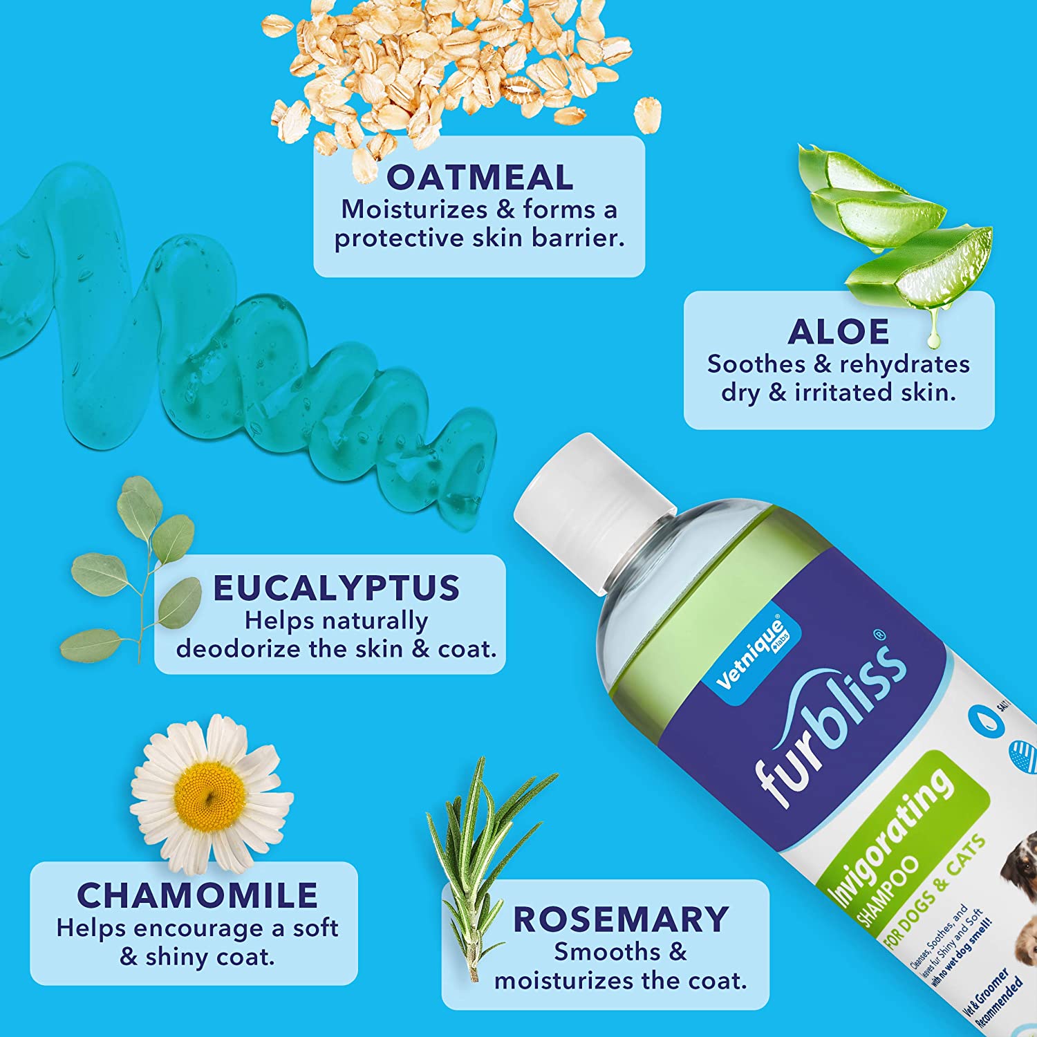 Furbliss INF PET 8: Infographics