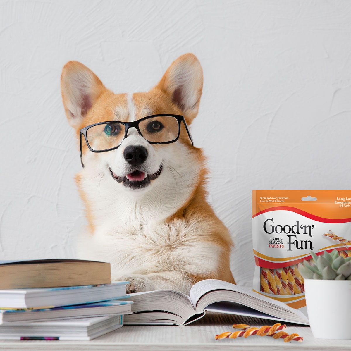Good n Fun 5: Lifestyle Secondary Images
