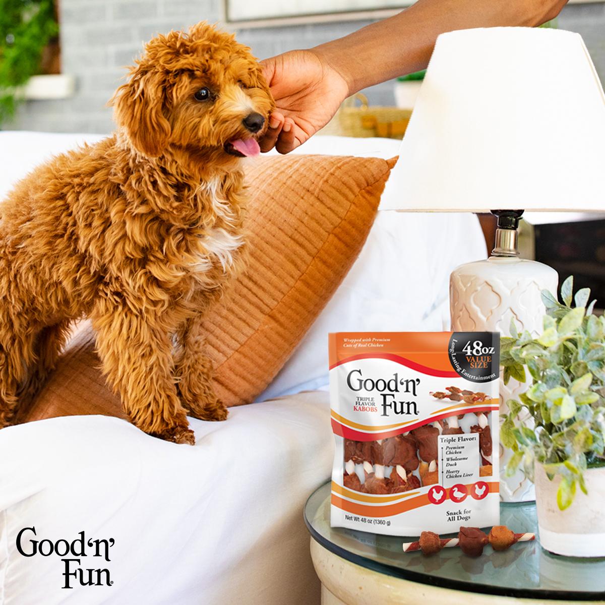 Good n Fun 8: Lifestyle Secondary Images