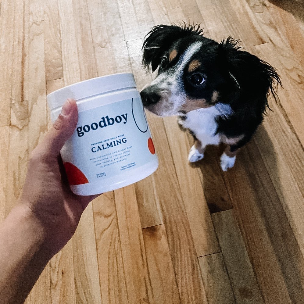 Goodboy 10: Lifestyle Secondary Images