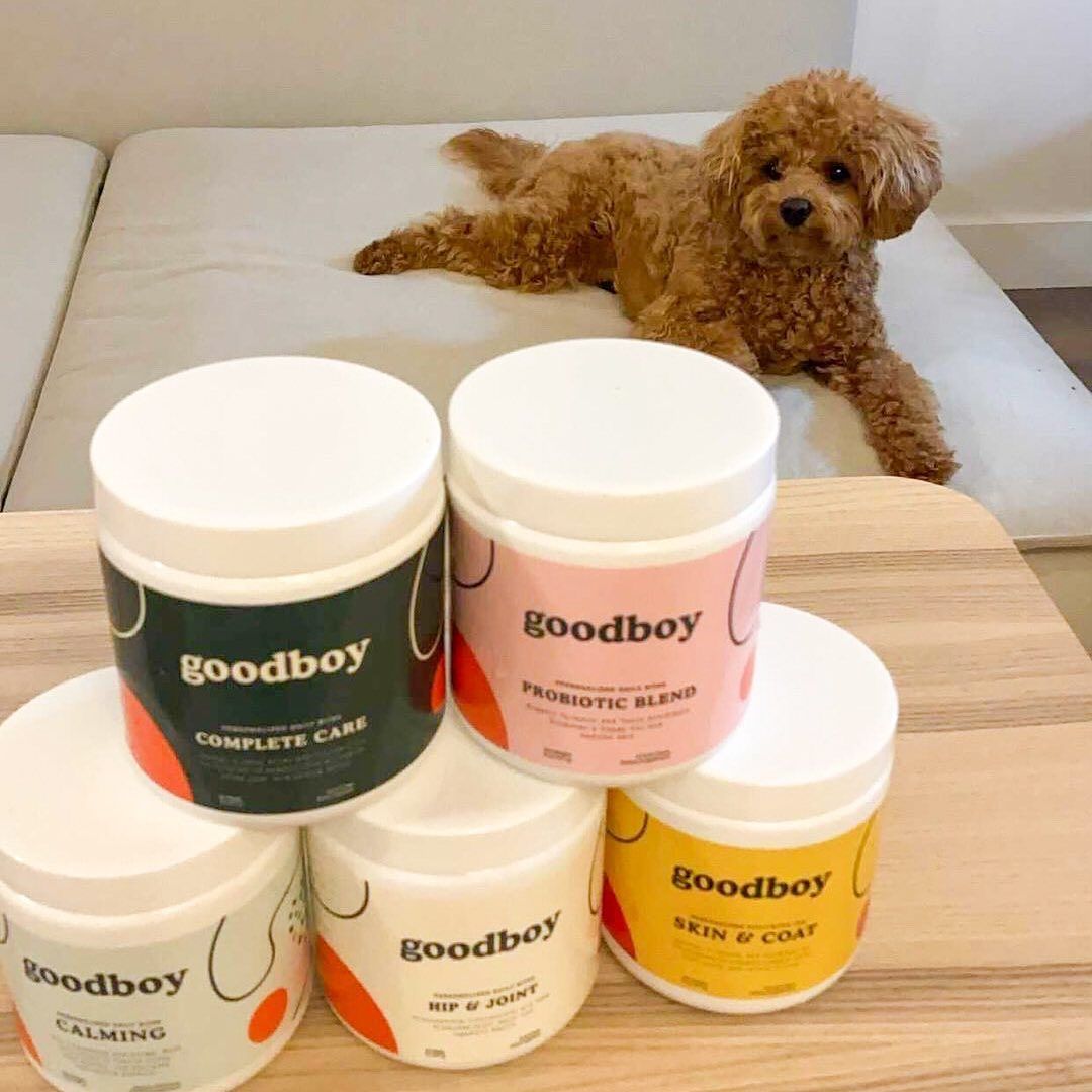Goodboy 17: Lifestyle Secondary Images