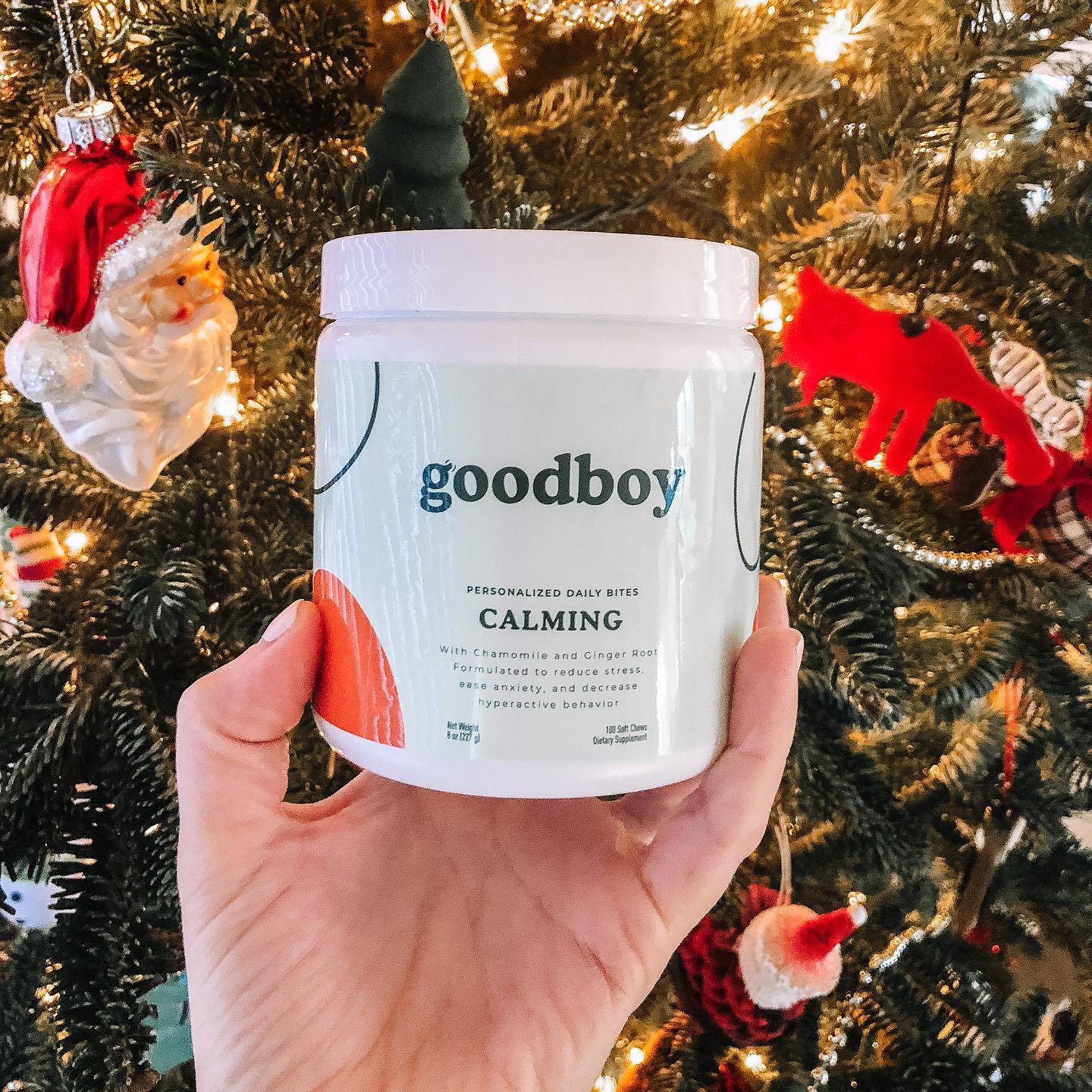 Goodboy 19: Lifestyle Secondary Images