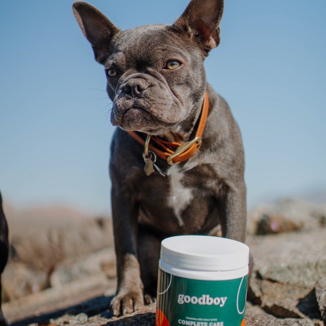 Goodboy 24: Lifestyle Secondary Images